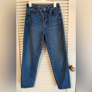 American Eagle Outfitters Women's Straight Blue Jeans